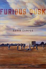 Furious Dusk by David Campos